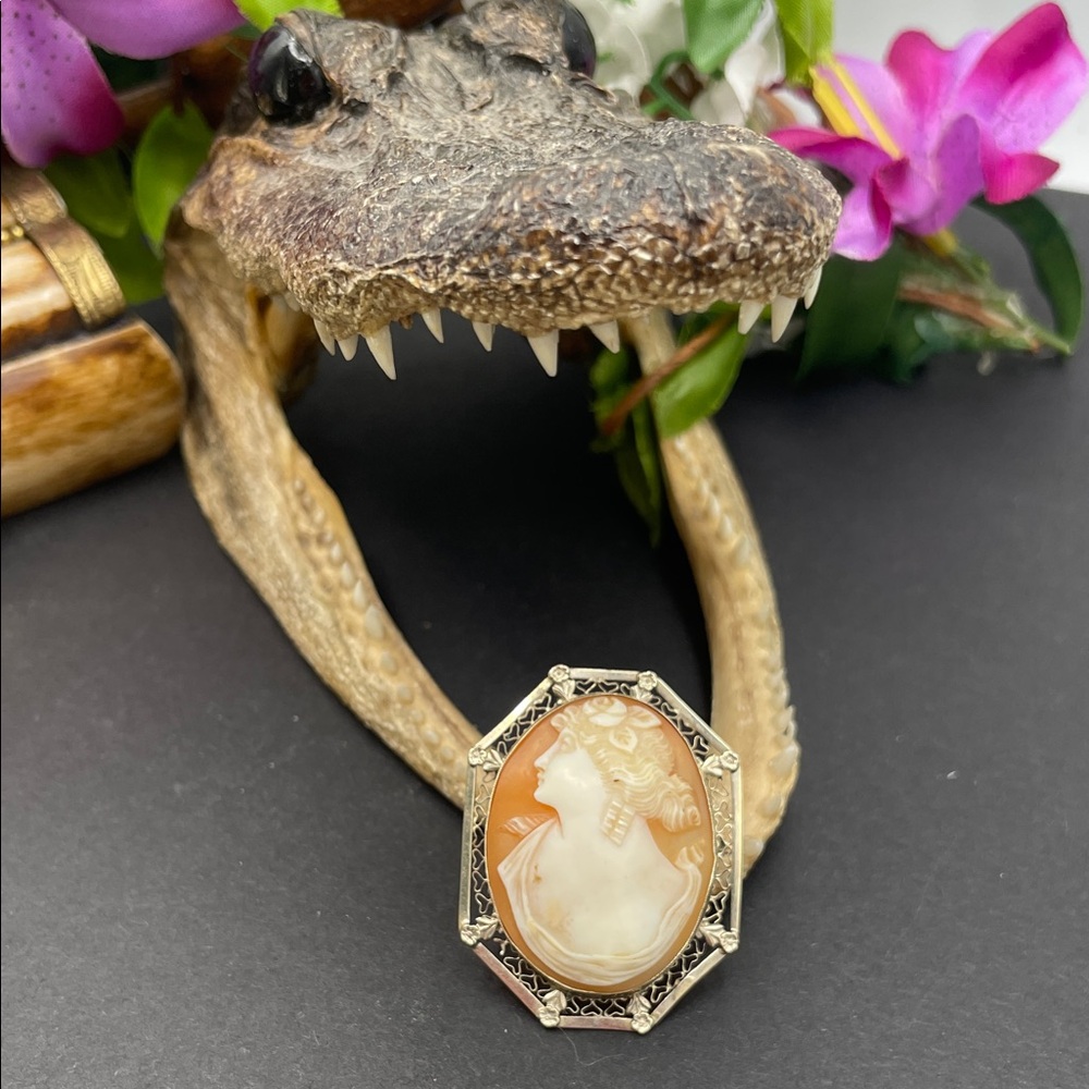 Cameo shell carved 14k white gold brooch vintage 🔥